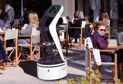 Applied to obstacle avoidance and navigation of service robots